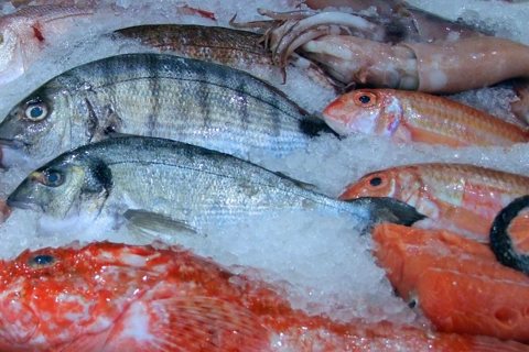 Al's Fresh Fish & Chicken: Fried fish platter
