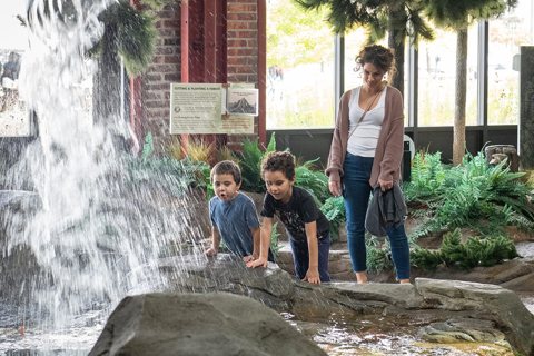 DNR Outdoor Adventure Center: Family at the indoor waterfall exhibit