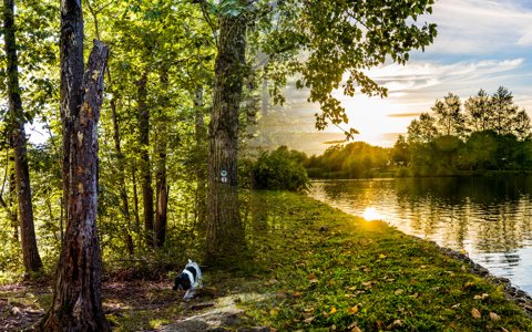 Macomb County: Macomb County parks and natural resources header photo