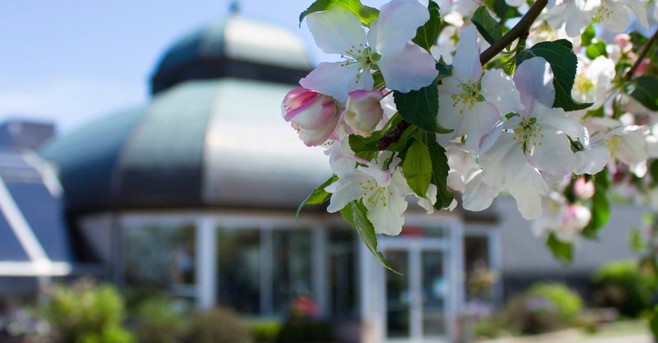 Viviano Flower Shop: Flower shop interior with spring arrangements