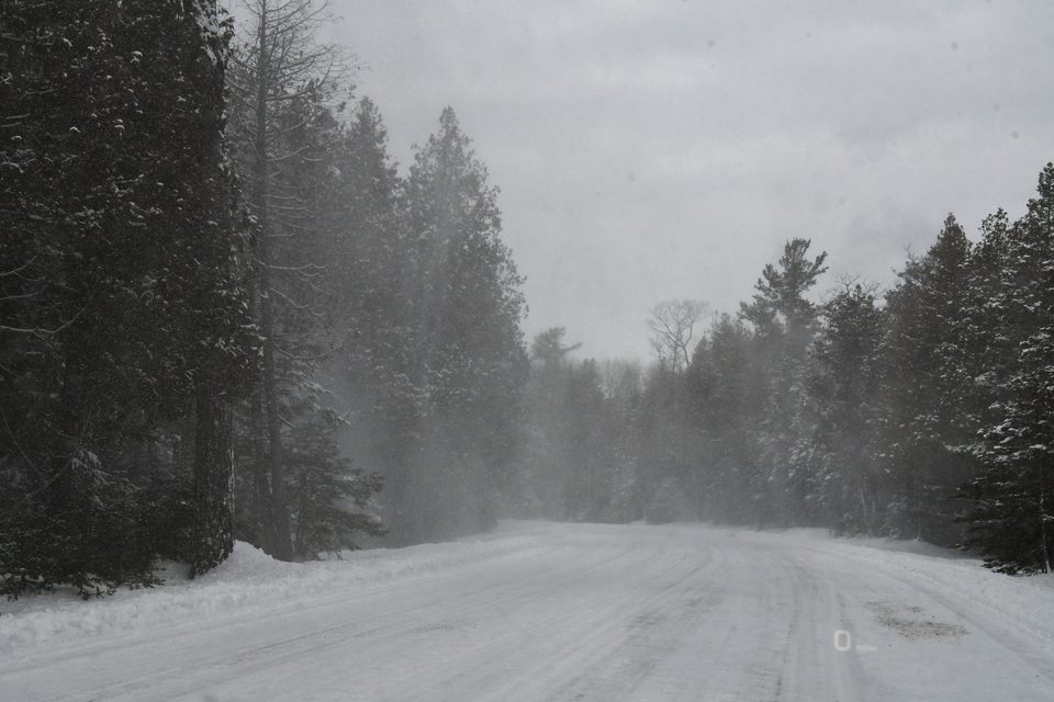 Snow blowing across a Michigan road between snowy pines