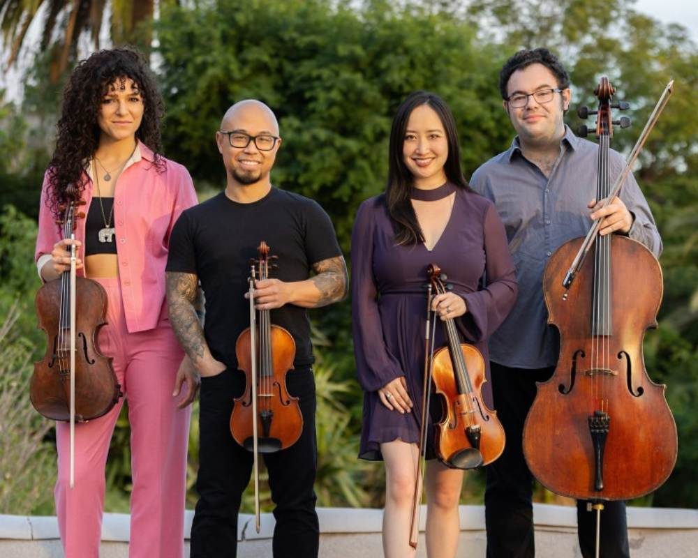 Vitamin String Quartet — Organizer image