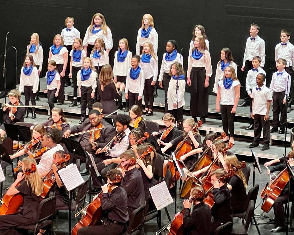 Spring Sings and Strings Concert Celebration — Organizer image