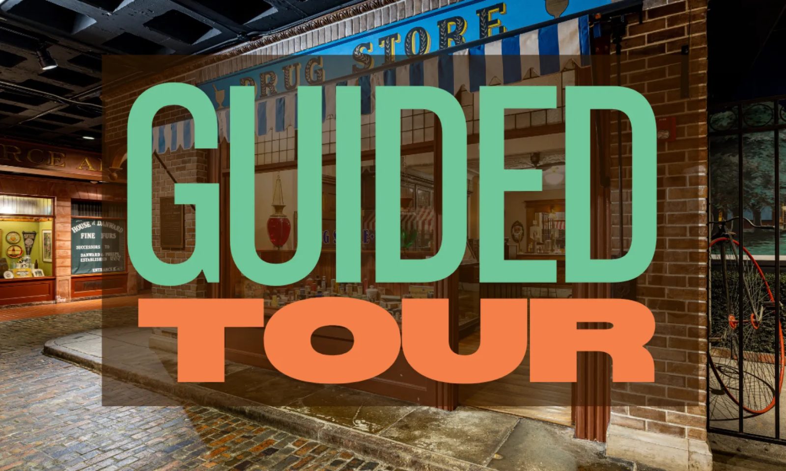 Guided Tour — Organizer image