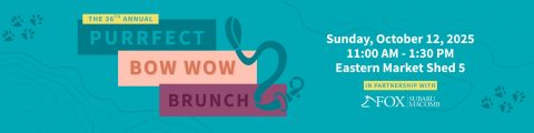 36th Annual Purrfect Bow Wow Brunch — Organizer image