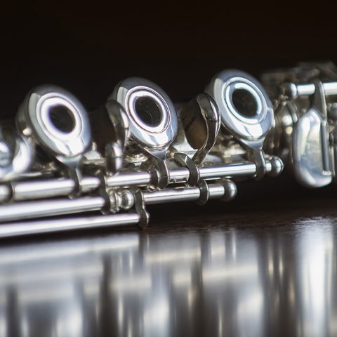 FSPA Faculty Concert Series: Bryan Guarnuccio, flute, in bloom at MacArthur Recital Hall — Organizer image