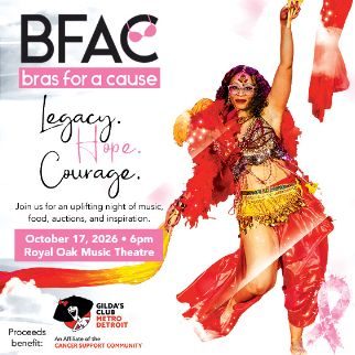 Bras For A Cause — Organizer image
