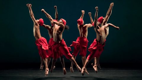 PHILADANCO! Dance Company — Organizer image