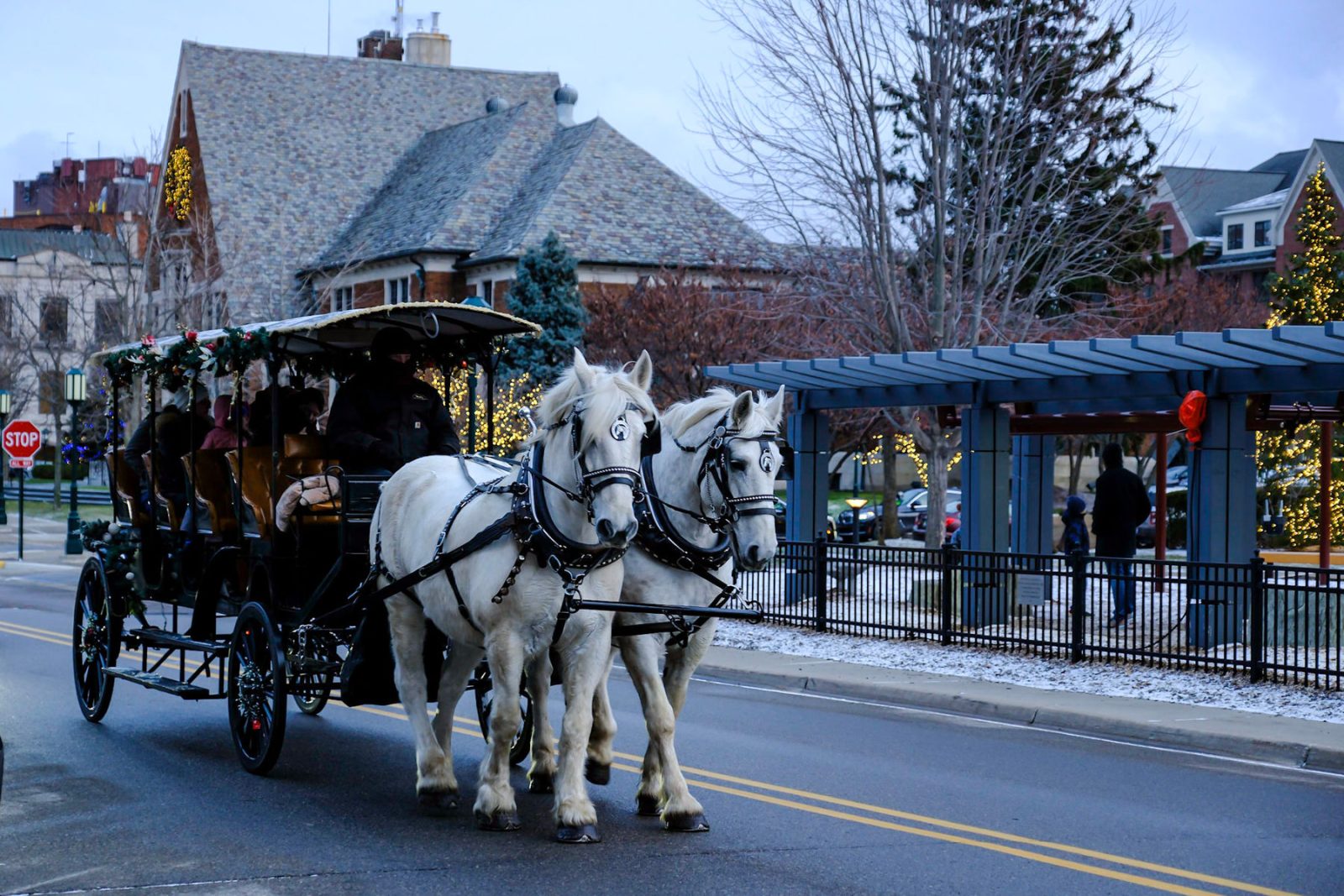 Horse-Drawn Carriage Rides — Organizer image