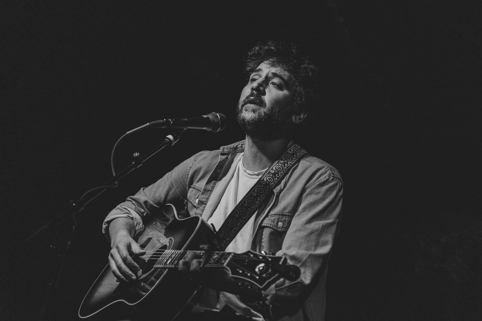 Josh Radnor koncertje — Szervezői kép