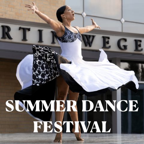 Summer Dance Festival — Organizer image