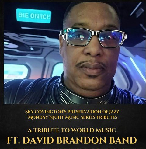 Tisztelgés a világzene előtt – David Brandon & Friends — Szervezői kép