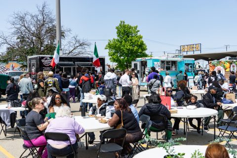 VegFest 2026 presented by Feel Bar — Organizer image