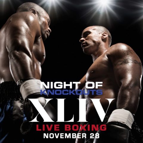 Night of Knockouts XLIV — Organizer image