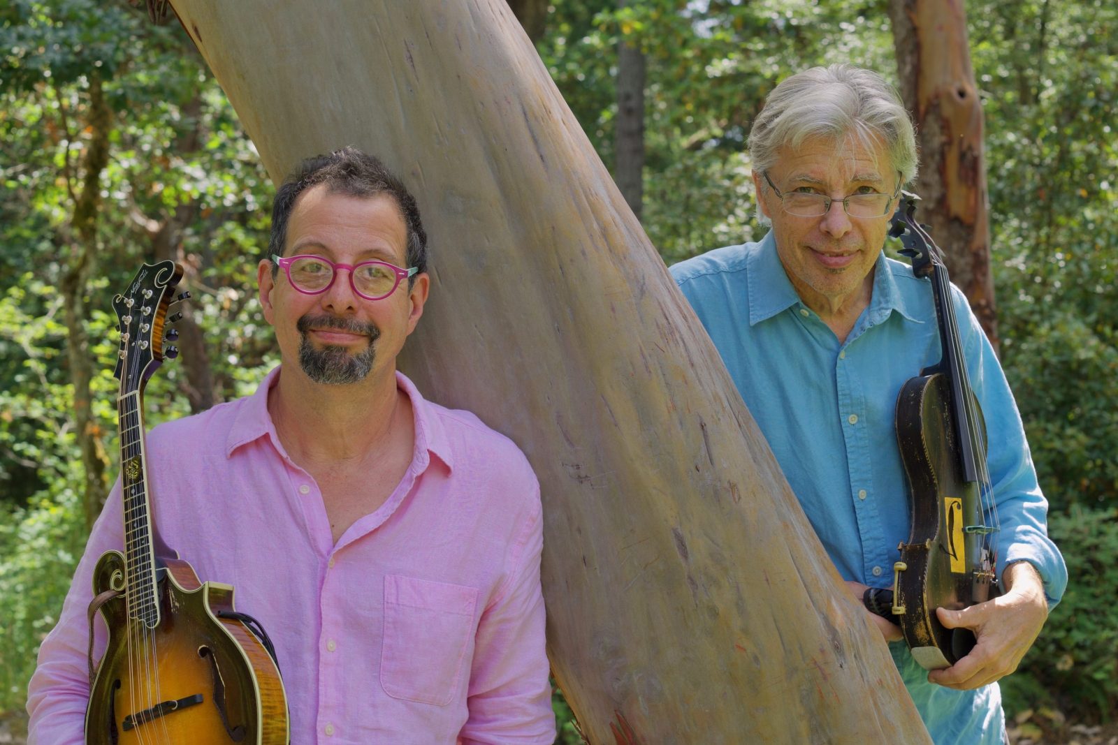 Mike Marshall & Darol Anger — Organizer image