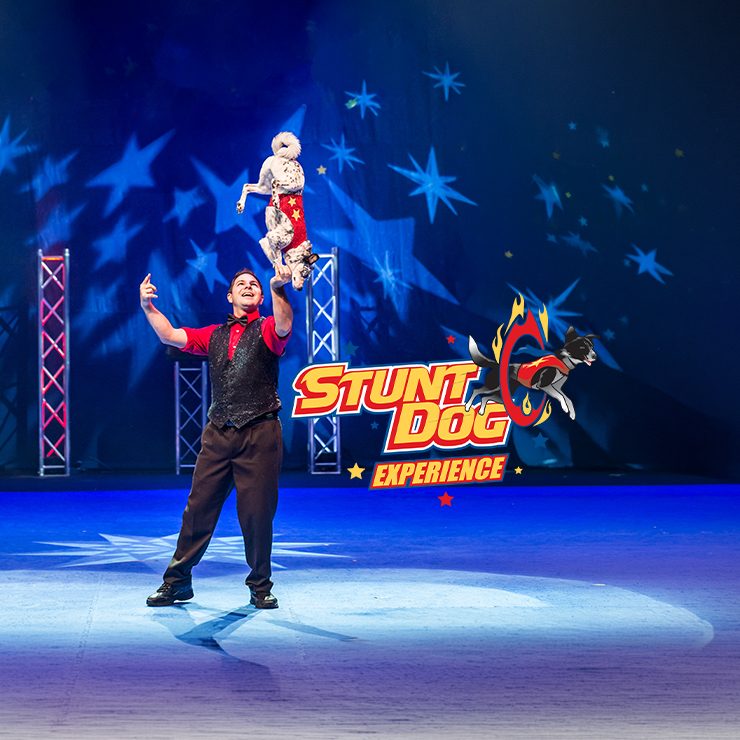 The Perondi's Stunt Dog Experience — Organizer image