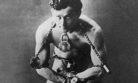 Detroit Was Wild About Harry (Houdini)