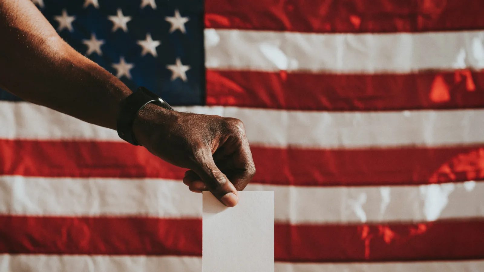 Who Votes: Making Your Voice Count — Organizer image