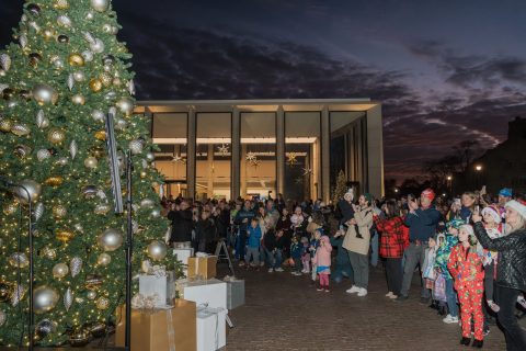 Tree Lighting Ceremony — Organizer image
