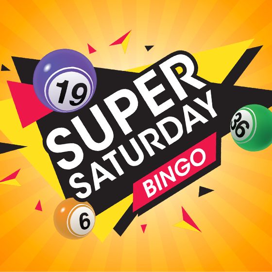 Super Saturday Bingo — Organizer image
