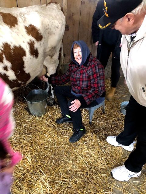 Harvest Festival at Upland Hills Farm: fall weekends in Oxford