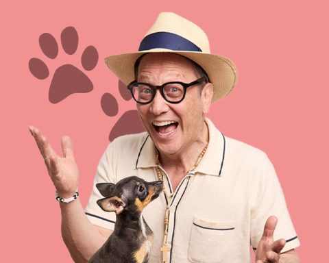 Rob Schneider: Rescue Husband — Organizer image