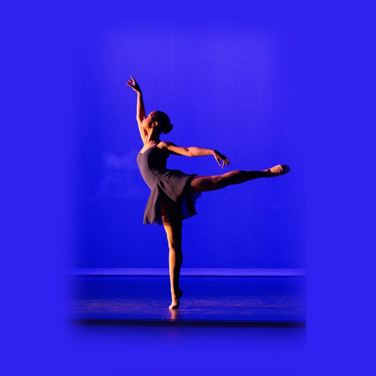 Festival of Dance — Szervezői kép