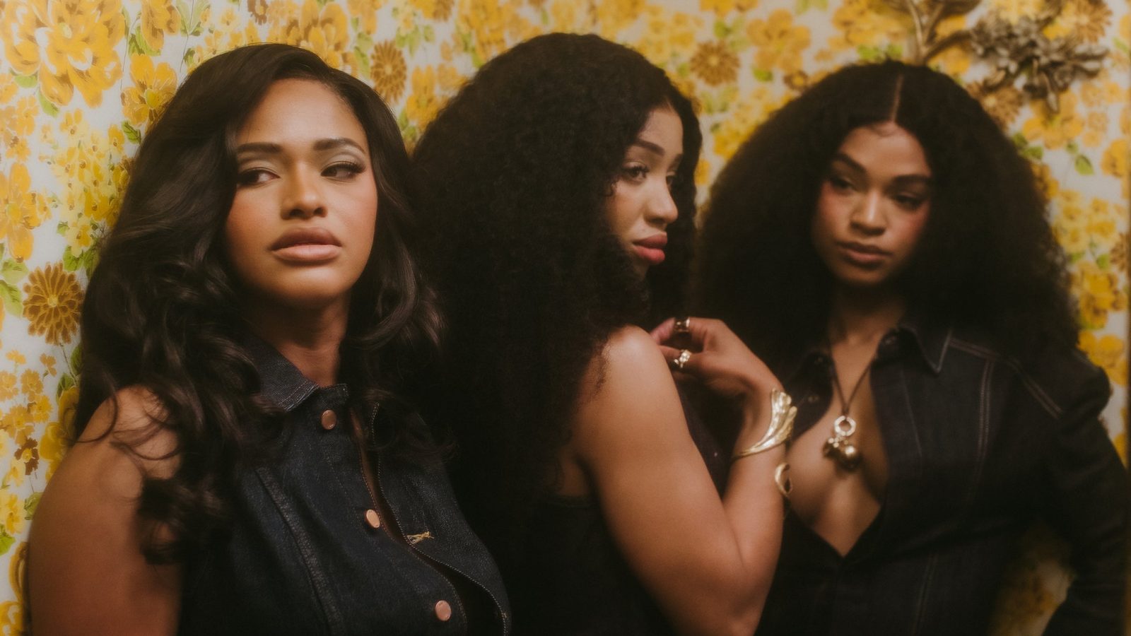 The Womack Sisters — Szervezői kép
