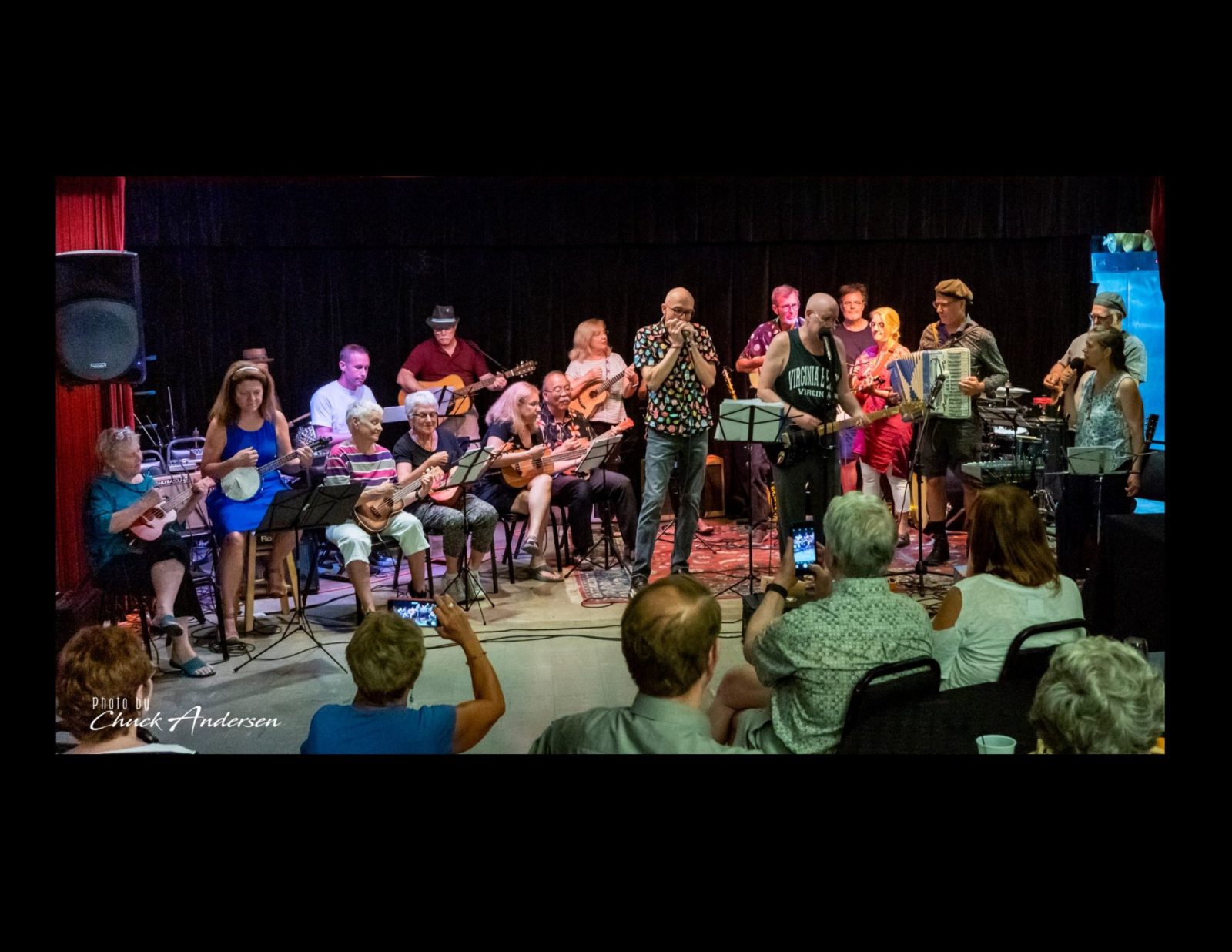 Summer Sounds az Ann Arbor Art Fair-en — Szervezői kép