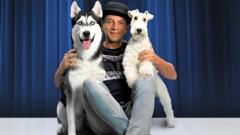 Popovich's Comedy Pet Theater at Midland Center for the Arts — Organizer image