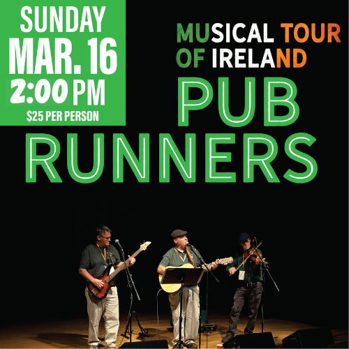 Pub Runners — Organizer image