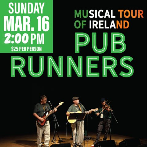 Pub Runners — Organizer image