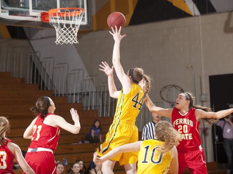Women's Basketball vs Winona State — Organizer image