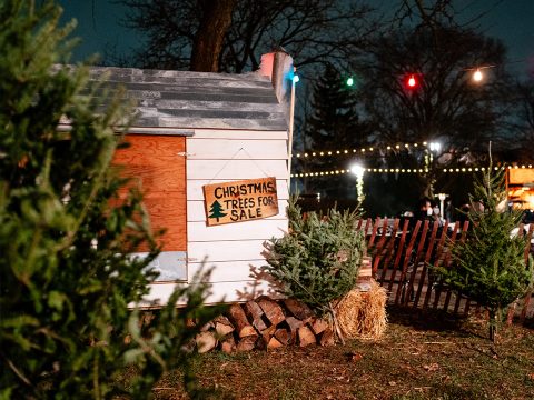 Holiday Greens & Tree Market — Organizer image