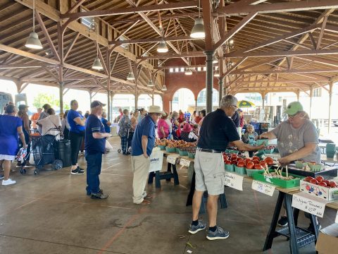 Tuesday Market 2025 — Organizer image