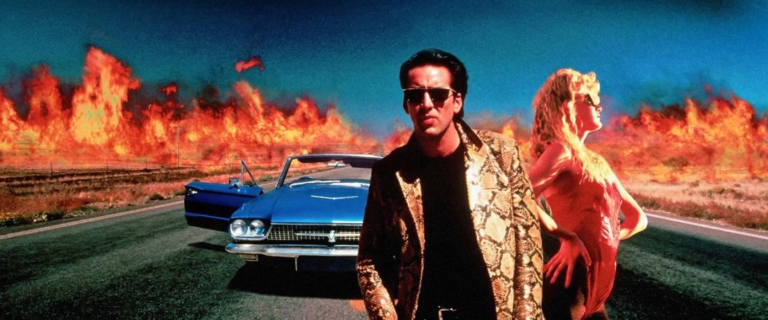 Wild at Heart – 4K Restoration — Organizer image