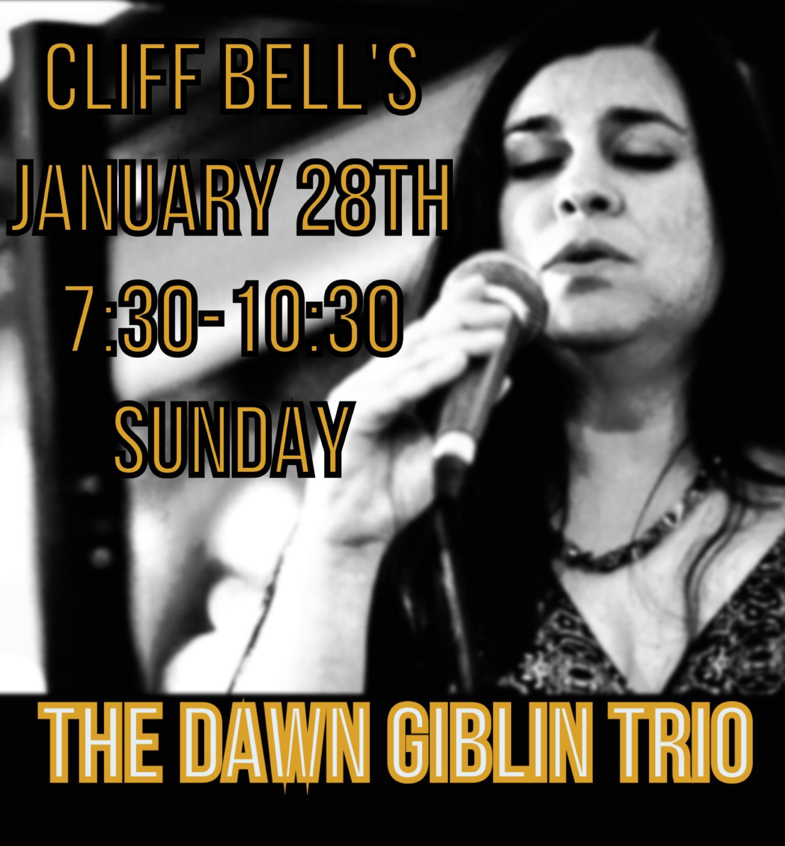 Dawn Giblin Trio — Organizer image