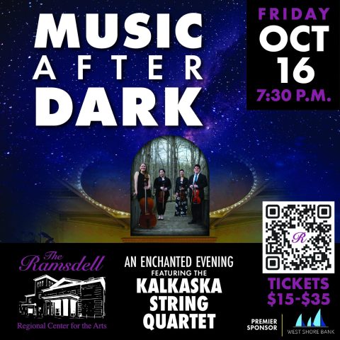 Music After Dark — Szervezői kép