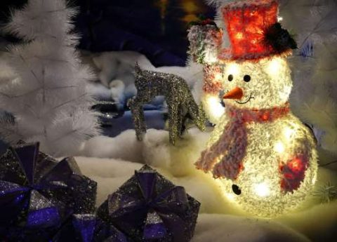 Winter Magic: A New Year Celebration — Organizer image
