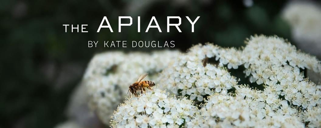 The Apiary — Organizer image