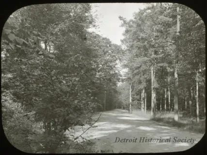 Native Roots: Indigenous History of Belle Isle – quad anniversary lecture series — Organizer image