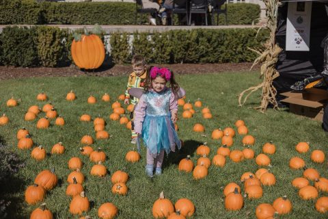 4. Halloween Spooktacular — Szervezői kép