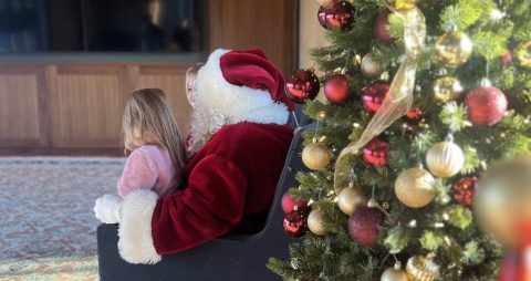Sensory-Friendly Photos with Santa — Organizer image