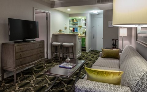 A suite living area with a sofa, a TV and a small kitchenette counter