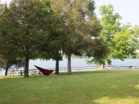 A hammock between trees by the lake