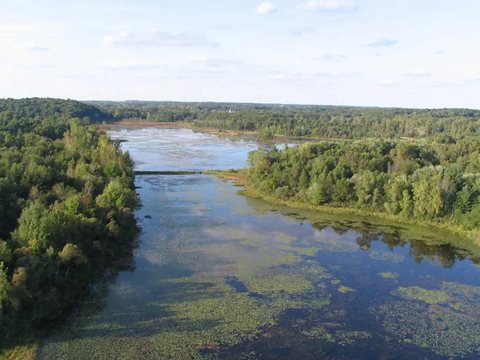 Kanyargó folyó és erdő felülről