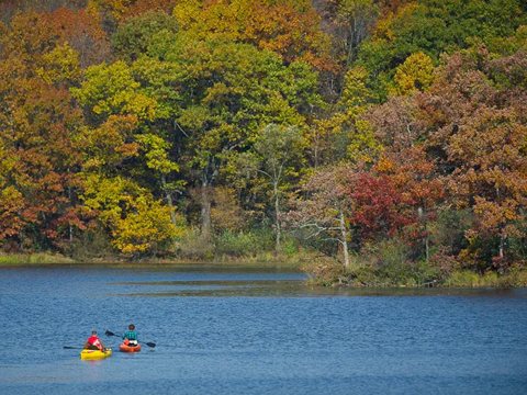 Kayaks on the lake beneath autumn foliage