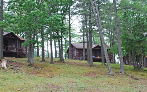 The lodge's log cabins among the pine trees