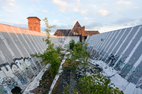 The stripped, graffiti-covered roof of Lee Plaza overgrown with young trees in 2016
