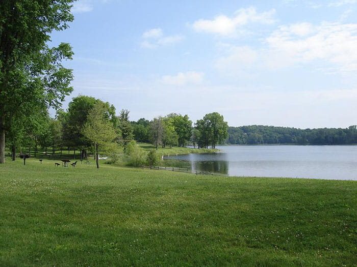 A grassy lakeshore in the recreation area